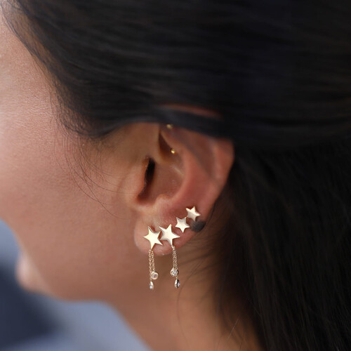 By Golden House - Tohum Sallantılı Yıldız Küpe (1) By Golden House - Tohum Sallantılı Yıldız Küpe (1)